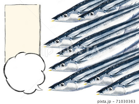 秋刀魚たち D手描き タイトル 吹き出し のイラスト素材