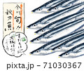 秋刀魚たち D手描き(文字あり) 秋刀魚たち D手描き(文字あり) 71030367