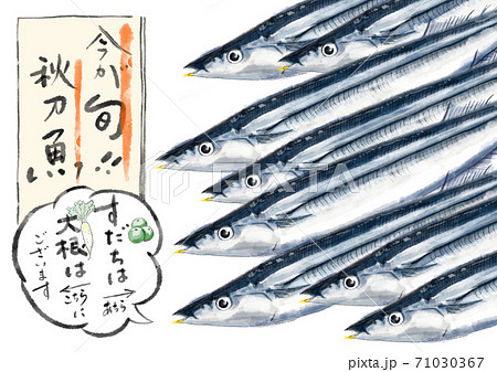 秋刀魚たち D手描き（文字あり） 71030367