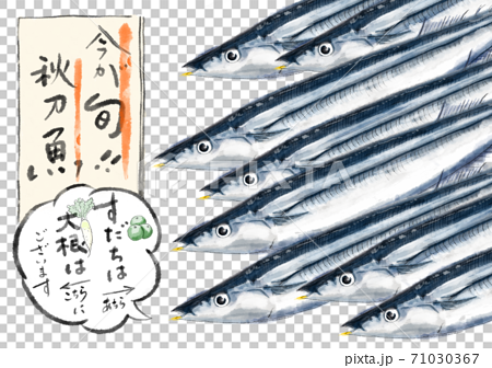 秋刀魚たち D手描き（文字あり） 71030367