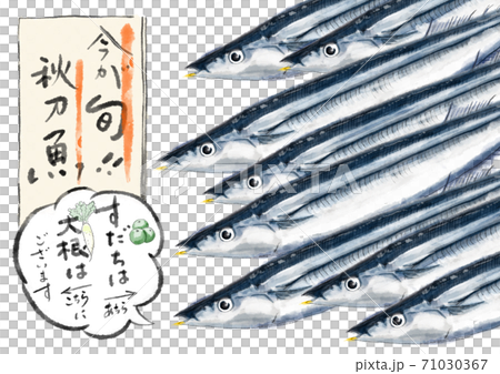 秋劍魚D手繪(帶字母) 秋劍魚D手繪(帶字母) 71030367