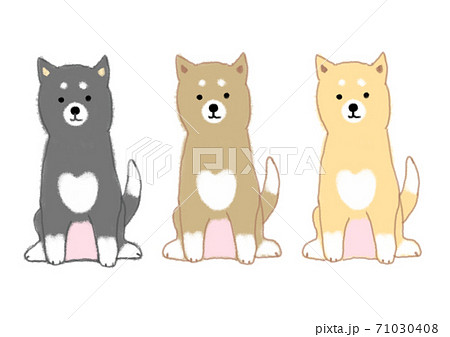 3色の日本犬のイラスト素材