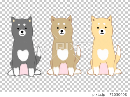 3色の日本犬 71030408