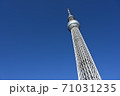 東京スカイツリー 71031235