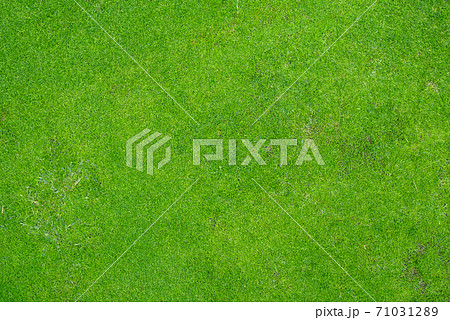 背景素材 芝生 ゴルフ場 ゴルフコース 背景素材 芝生 ゴルフ場 ゴルフコース 71031289