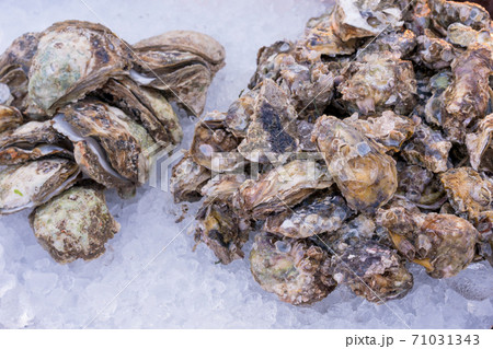 Fresh oysters on ice in boxes at the seafood market 71031343