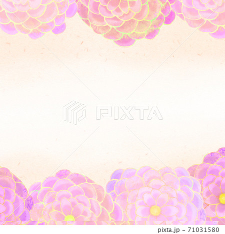 正方形 大きなピンク牡丹の花背景 ベージュのイラスト素材
