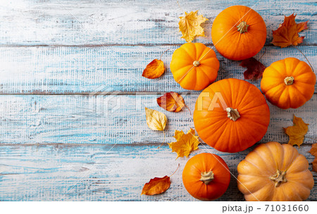 Pumpkins variety with autumn leaves. Blue wooden background. Copy space. Top view. 71031660