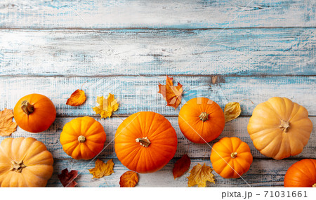 Pumpkins variety with autumn leaves. Blue wooden background. Copy space. Top view. 71031661
