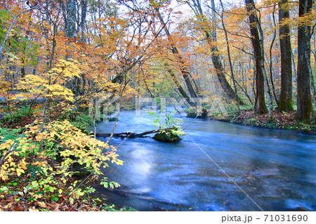 秋の奥入瀬渓流・百両橋付近（青森県・十和田市）の写真素材