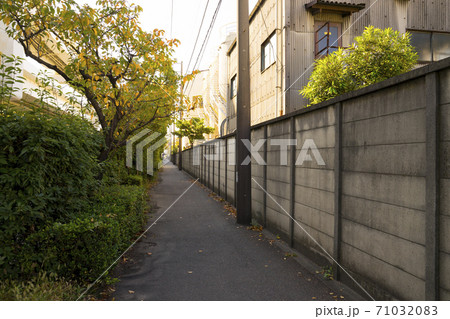 路地 71032083