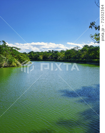 富津中の島公園の風景 富津中の島公園の風景 71032564