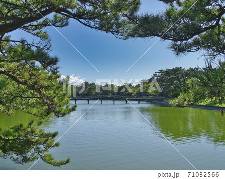 富津中の島公園の風景 富津中の島公園の風景 71032566