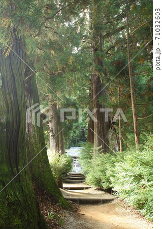 高天彦神社 高天彦神社 71032603