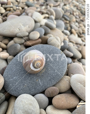 貝殻 小石 砂利 71033210