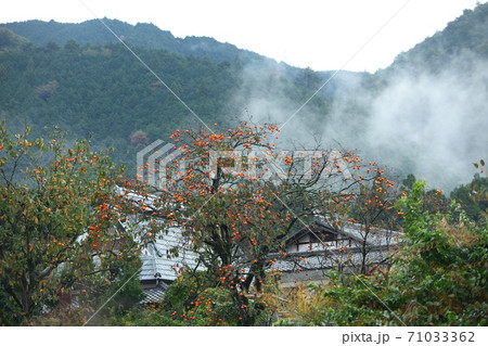 京都大原の秋 71033362