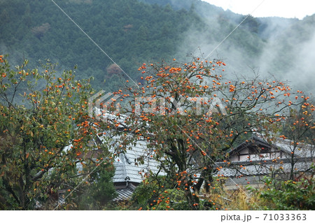 京都大原の秋 京都大原の秋 71033363