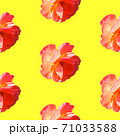 Seamless pattern with roses on a yellow background. 71033588