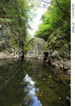 天の岩戸神社 天の岩戸神社 71033606