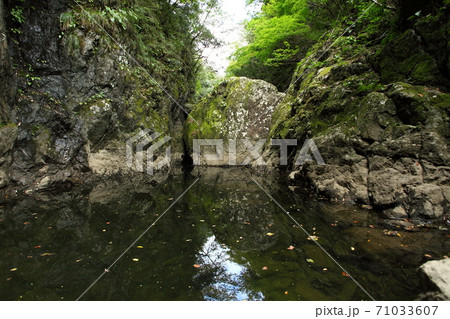 天の岩戸神社 天の岩戸神社 71033607