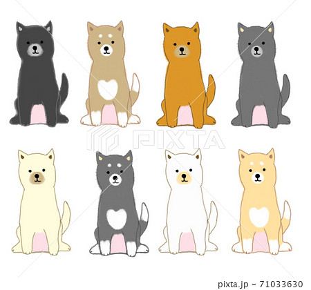 おすわりする8頭の日本犬のイラスト素材