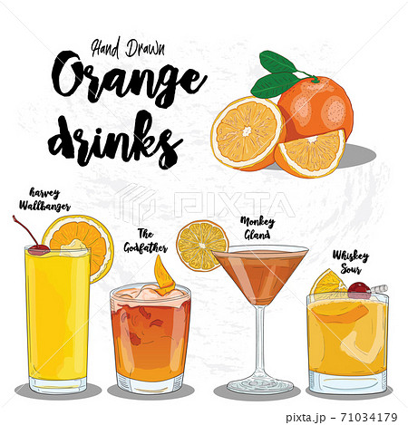 Hand Drawn Colorful Orange Drinks Set Harvey Wallbanger The Godfather Monkey Gland and Whiskey Sour. 71034179