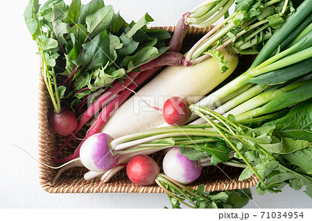 カゴに盛られた色々な冬野菜 カゴに盛られた色々な冬野菜 71034954