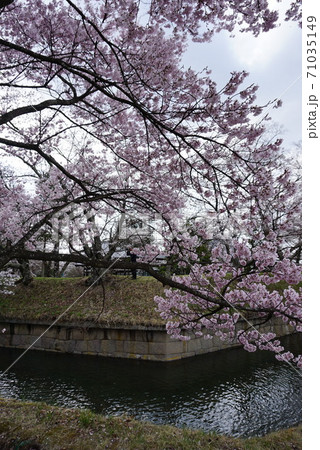 龍岡城五稜郭 龍岡城五稜郭 71035149