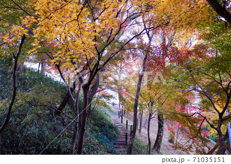 秋の水沢もみじ谷の紅葉に包まれる道の階段の写真素材