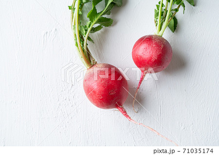 ラディッシュ ラディッシュ 71035174
