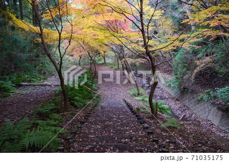秋の水沢もみじ谷の紅葉に包まれる道の階段 秋の水沢もみじ谷の紅葉に包まれる道の階段 71035175