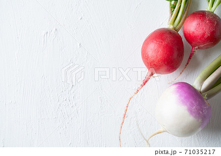 ラディッシュと蕪(あやめ雪) ラディッシュと蕪(あやめ雪) 71035217