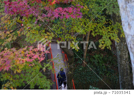 秋の水沢もみじ谷の紅葉に包まれる橋を渡る観光客 71035341