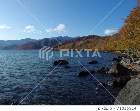 中禅寺湖の紅葉 見頃過ぎ 中禅寺湖の紅葉 見頃過ぎ 71035514
