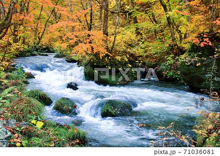 秋の奥入瀬渓流・石ヶ戸の瀬（青森県・十和田市）の写真素材
