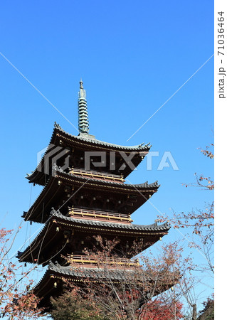 東京都台東区上野寛永寺の五重塔 71036464