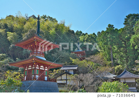 【独鈷山 伊舎那院 青龍寺】 (四国霊場第36番札所) 高知県土佐市宇佐町竜 71036645