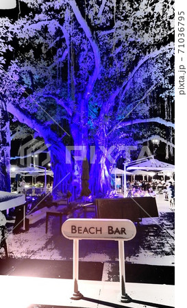 モアナサーフライダー　ビーチバー 71036795