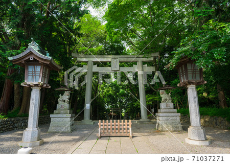 谷保天満宮(やぼてんまんぐう) 谷保天満宮(やぼてんまんぐう) 71037271