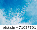 泡立ったような雲が広がる晴れた日の青空 71037501