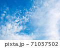 泡が飛び散ったような雲が広がる晴れた日の青空 71037502