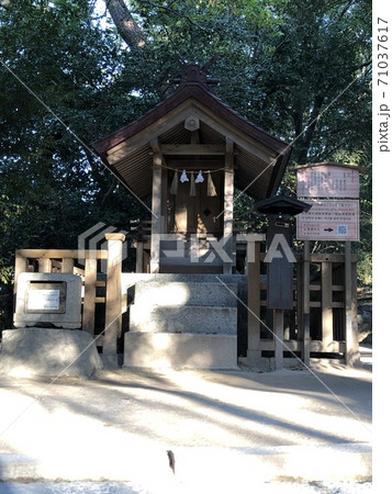 《出雲大社 祓社(はらえのやしろ・はらいのやしろ)》(島根県 出雲市) 《出雲大社 祓社(はらえのやしろ・はらいのやしろ)》(島根県 出雲市) 71037617