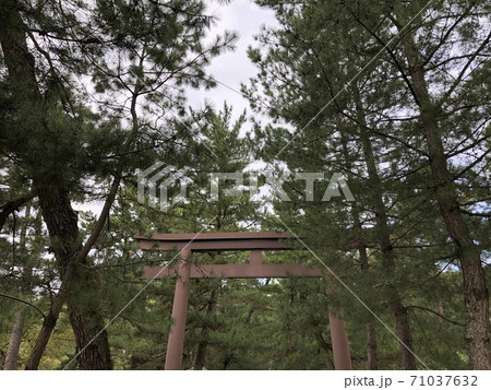 《出雲大社 鉄製の三の鳥居(松の参道の鳥居・中の鳥居)》(島根県 出雲市) 《出雲大社 鉄製の三の鳥居(松の参道の鳥居・中の鳥居)》(島根県 出雲市) 71037632