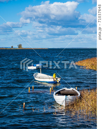 Boats and reeds on the island Moen on the Baltic Sea in Denmark 71037648