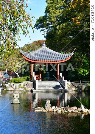 秋の岐阜城　大河ドラマの地 71038416