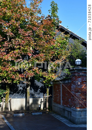 秋の岐阜城　大河ドラマの地 71038428