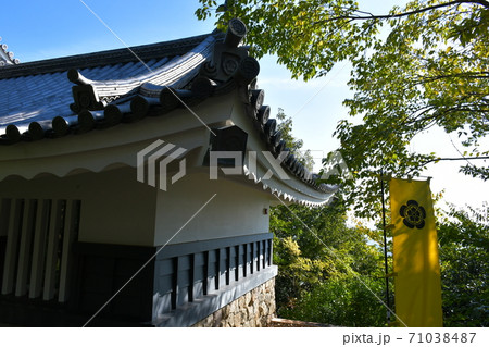 秋の岐阜城　大河ドラマの地 71038487