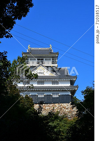 秋の岐阜城　大河ドラマの地 71038517
