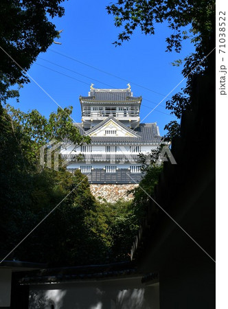 秋の岐阜城　大河ドラマの地 71038522