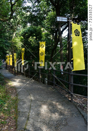 秋の岐阜城　大河ドラマの地 71038527